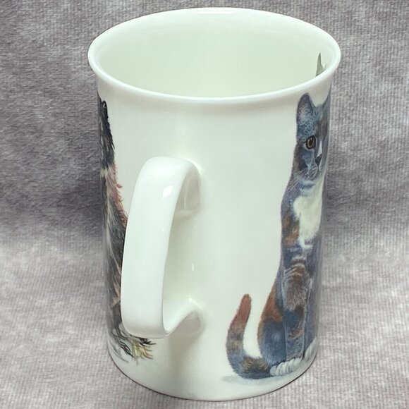Cats Galore Mug Roy Kirkham England 2005 Fine Bone China 12oz Cup K.M. Hassall - Picture 7 of 11